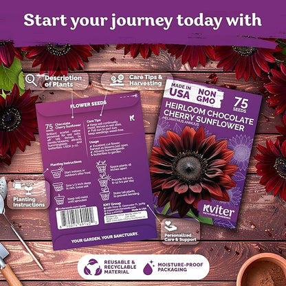 KVITER 75 Chocolate Cherry Sunflower Seeds to Plant (Helianthus annuus) – Heirloom Seed Non GMO Sunflowers Variety, Long Vase-Life Blooms – Flower Seeds for Planting in Home Garden