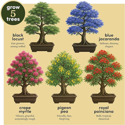 Planter's Choice Bonsai Tree Starter Kit - Birthday Gifts for Women, Men, Adults - Indoor Live House Plants - DIY Adults Craft Kits - Unique Hobby Gift Gardening Lovers - Gift Ideas Mom, Her, Friend