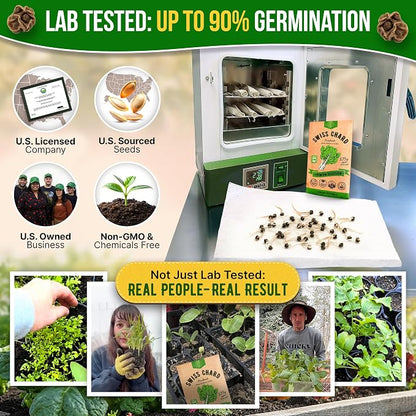 Organo Republic Swiss Chard Fordhook Seeds Pack 3.75 g - Over 200 Non-GMO Heirloom Swiss Chard Seeds for Planting Greens in Individual Seed Packet, Greens Seeds for Planting Indoor & Outdoor Garden