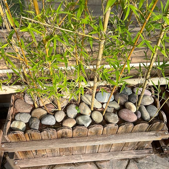 10 Pounds Large River Rocks, 3-4 Inch Natural Pebbles for Landscaping, Garden, Aquarium, Backyard and Indoor Water Fountains