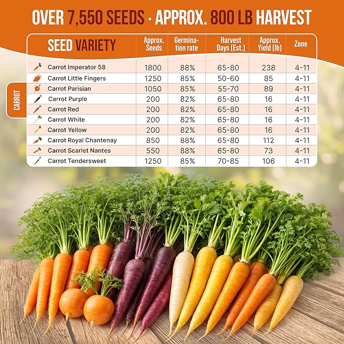 Organo Republic 10 Unique Carrot Seeds Variety Pack - 7,550+ Non-GMO Heirloom Carrot Seeds for Outdoor & Indoor Home Gardening, Including Carrot Imperator 58, Little Fingers, Scarlet Nantes, Parisian