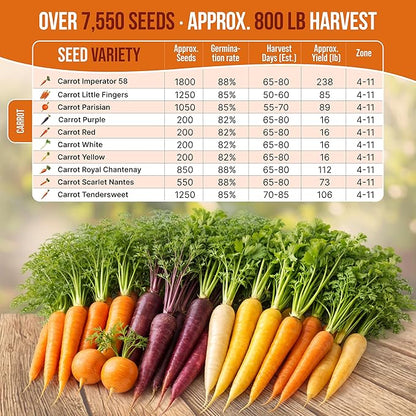 Organo Republic 10 Unique Carrot Seeds Variety Pack - 7,550+ Non-GMO Heirloom Carrot Seeds for Outdoor & Indoor Home Gardening, Including Carrot Imperator 58, Little Fingers, Scarlet Nantes, Parisian