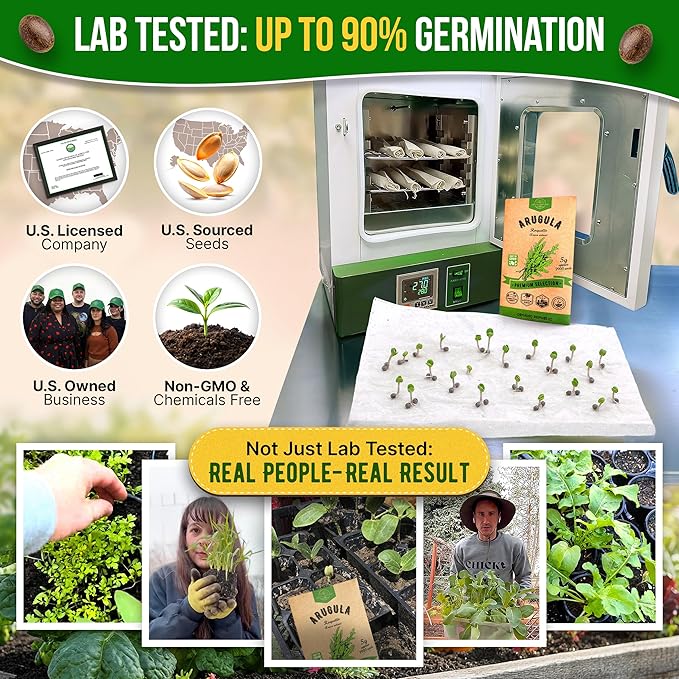 Organo Republic Arugula Roquette Seeds Pack 5G - Over 2900 Non-GMO Heirloom Arugula Seeds for Planting Greens in Individual Seed Packet, Greens Seeds for Planting Home Garden Indoor & Outdoor Garden