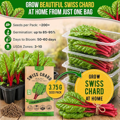 Organo Republic Swiss Chard Ruby Red Seeds Pack 3.75G - Over 200 Non-GMO Heirloom Swiss Chard Seeds for Planting Greens in Individual Seed Packet, Greens Seed for Planting Home Garden Indoor & Outdoor