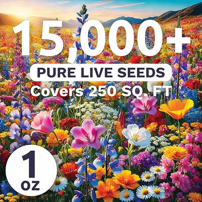 Midwest Regional Mix - Large 1 Ounce Packet - 15,000 Flower Seeds for Planting - Wildflower Mix