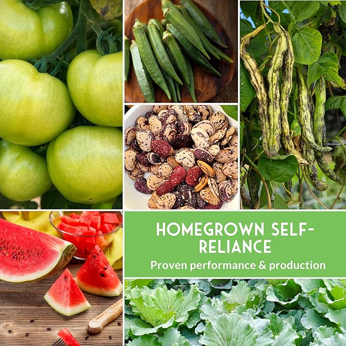 Southern Vegetable Seeds Collection – 15 Heirloom Heat Loving Vegetables Variety Pack for Planting – Okra, Collard Greens, Purple Hull Peas, Dent Corn – Survival Garden Seeds