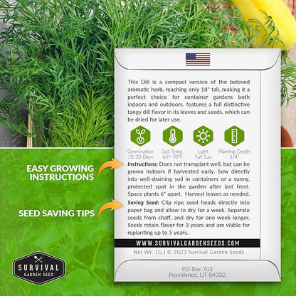 Compact Dill Seeds for Planting – Dwarf Dill for Containers & Small-Space Gardens – High Germination Heirloom Non-GMO Herb for Indoor or Outdoor Growing – Survival Garden Seeds (1 Pack)