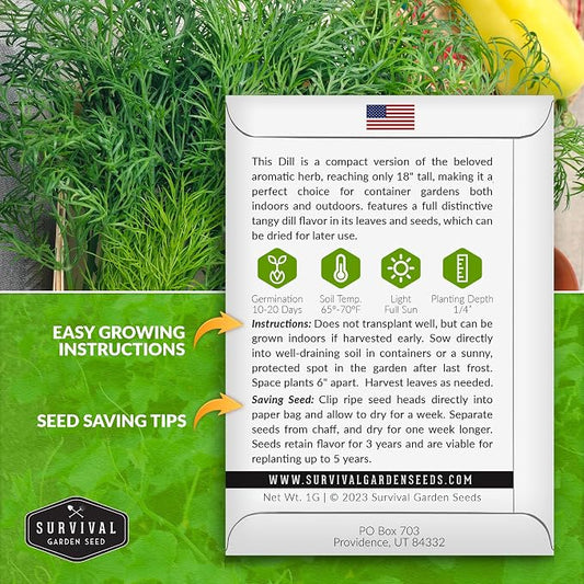 Compact Dill Seeds for Planting – Dwarf Dill for Containers & Small-Space Gardens – High Germination Heirloom Non-GMO Herb for Indoor or Outdoor Growing – Survival Garden Seeds (1 Pack)