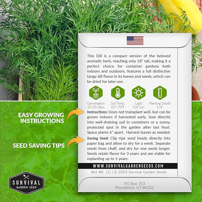 Compact Dill Seeds for Planting – Dwarf Dill for Containers & Small-Space Gardens – High Germination Heirloom Non-GMO Herb for Indoor or Outdoor Growing – Survival Garden Seeds (2 Packs)
