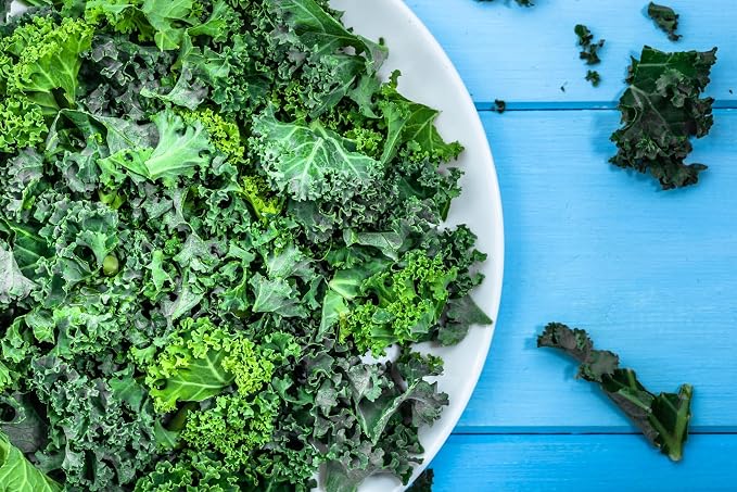 Curled Blue Kale Seeds for Planting – Plant & Grow Heirloom Non-GMO Curled Blue Vates Kale Home Outdoor Vegetable Garden, Brassica oleracea VAR. acephalla – 1 Packet Approx 200 Seeds