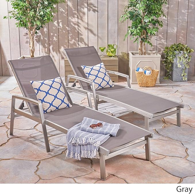 Christopher Knight Home Joy Outdoor Mesh and Aluminum Chaise Lounge (Set of 2), Gray