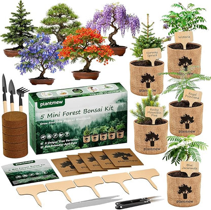 Bonsai Starter Kit for Adults – Complete Indoor Tree Growing Set with Jacaranda Seeds, Tools & Planter | DIY Gardening Hobby Kits for Plant Lovers, Unique Easter Gifts for Men & Women