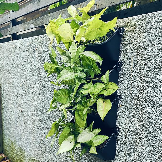 Maxona Vertical Wall Planter for Indoor Plant-Walls Mounted Pot with 2 Drainage Tray 8 Pack, 13 inch Black Color for Indoors and Outdoor Decor, Plastic Pots Balcony Planters, Plants Hanging