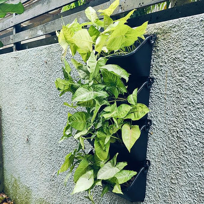 Maxona Vertical Wall Planter for Indoor Plant-Walls Mounted Pot with 2 Drainage Tray 8 Pack, 13 inch Black Color for Indoors and Outdoor Decor, Plastic Pots Balcony Planters, Plants Hanging
