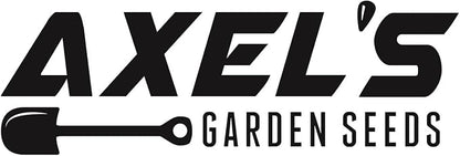 Kale Seeds for Planting - Plant & Grow Heirloom Kale Varieties Home Outdoor Garden – Easy Grow Planting Packet Instructions Included, Great Gardening Gift – 2 Packets of Each Variety