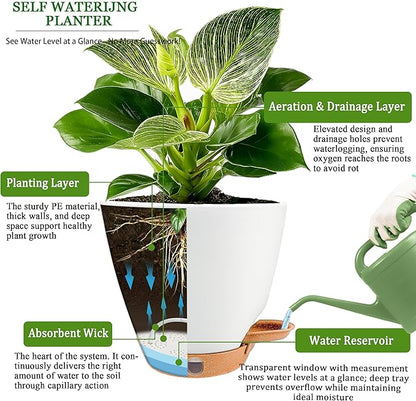6 Inch Self Watering Pots for Indoor Plants(5-Pack) – Small Plastic Planters with Water Level Window, Drainage Holes & Detachable Trays, Indoor Outdoor Flower Pots for Herbs, Snake,Pothos(White)