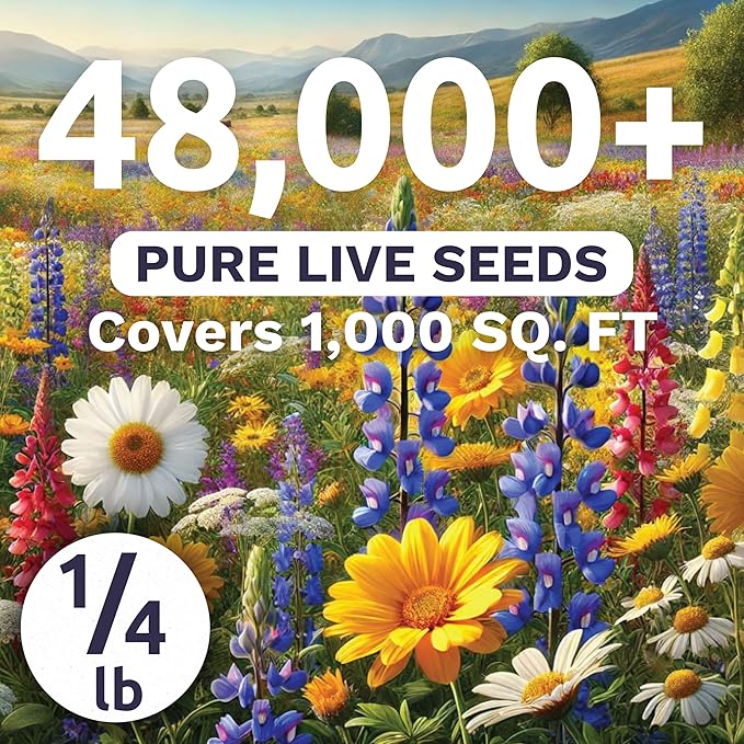 Southeast Regional Mix - Bulk 1/4 Pound Pouch - 48,000 Flower Seeds for Planting - Wildflower Mix