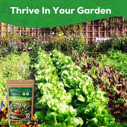 10 Vegetable Seeds Pack - Heirloom - Basil, Snap Pea, Broccoli, Bean, Jalapeño Pepper, Tomato, Lettuce, Cucumber, Carrot, Zucchini Seeds for Planting Home Garden