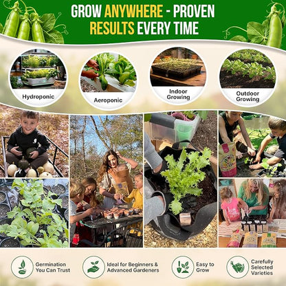 Organo Republic Pea Oregon Sugar Pod II Seeds Pack 15G - Over 75 Non-GMO Heirloom Pea Seeds for Planting Vegetables in Individual Seed Packet, Vegetable Seeds for Planting Home Garden Indoor & Outdoor