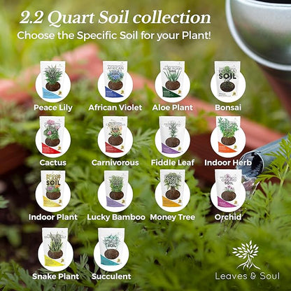 Professional Snake Plant Soil Large 2.2 Quarts Ready to Use, Premium Potting Soil for Snake Plants Dracaena Trifasciata, Fast Draining Indoor Soil with Peat Moss Coco Coir Perlite Dolomite Made in USA