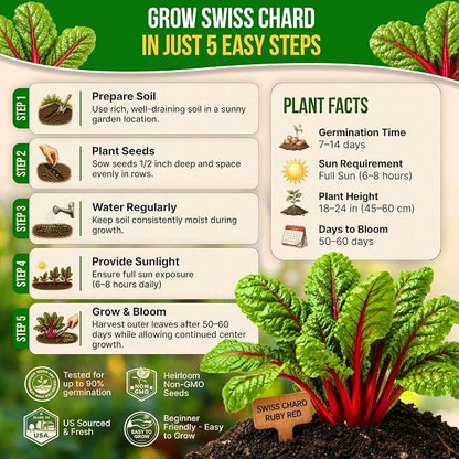Organo Republic Swiss Chard Ruby Red Seeds Pack 3.75G - Over 200 Non-GMO Heirloom Swiss Chard Seeds for Planting Greens in Individual Seed Packet, Greens Seed for Planting Home Garden Indoor & Outdoor