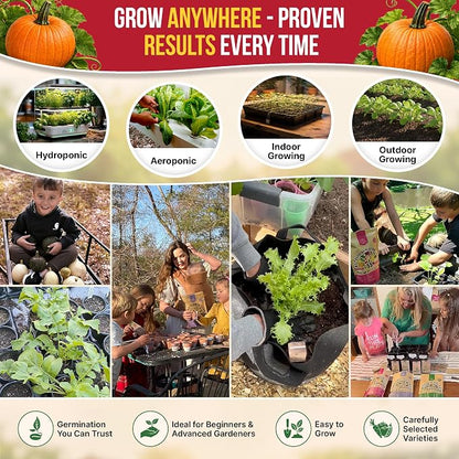 Organo Republic Pumpkin Connecticut Field Seeds Pack, 10G - Over 60 Non-GMO Heirloom Pumpkin Seeds for Planting Vegetables in Individual Seed Packet, Vegetable Seeds for Indoor & Outdoor Gardening