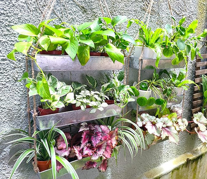 LaLaGreen Wall Hanging Planter - 16 Inch Indoor Wall Planters, 3 Tier Succulent Planters, Metal Silver Window Herb Garden Rectangle Hanging Vertical Plant Pot