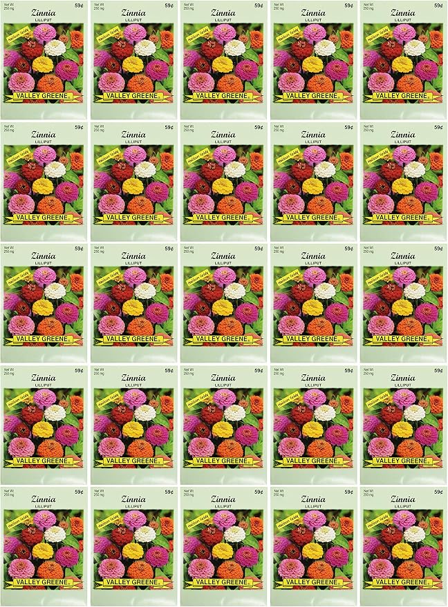 Black Duck Brand Set of Zinnia Lilliput Flower Seed Packets! Flower Seeds in Bulk - Great for Creating The Garden of Your Dreams! (25, Zinnia - Lilliput)