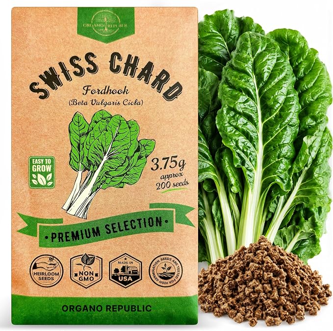 Organo Republic Swiss Chard Fordhook Seeds Pack 3.75 g - Over 200 Non-GMO Heirloom Swiss Chard Seeds for Planting Greens in Individual Seed Packet, Greens Seeds for Planting Indoor & Outdoor Garden