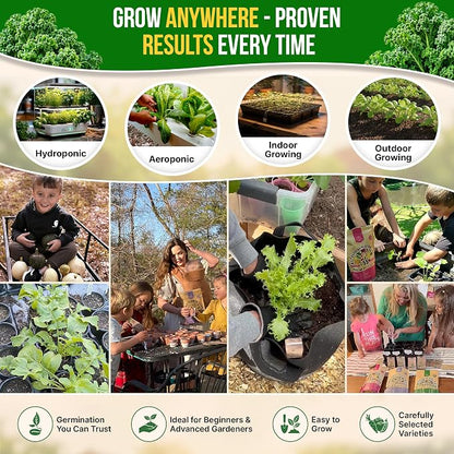 Organo Republic Kale Dwarf Siberian Seeds Pack 5 G - Over 1,650 Non-GMO Heirloom Kale Seeds for Planting Greens in Individual Seed Packet, Greens Seeds for Planting Home Garden Indoor & Outdoor