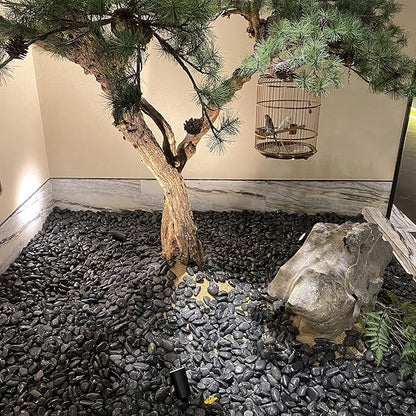 10 lbs Black Pebbles for Plants, 2-3 inch Large River Rocks for Plants, Decorative Stones for Planters Vase Aquarium Fish Tank and Outdoor Garden Landscaping