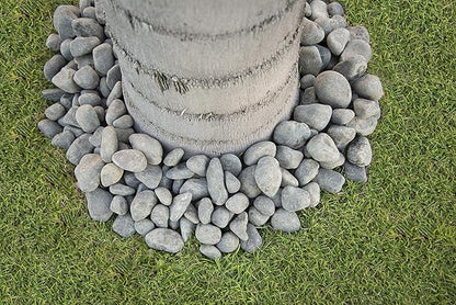 MSI Nile Decorative Polished Gray Pebbles, 1.2 inch - 2.4 inch, 40 lb. Bag (55 Bags/Pallet)