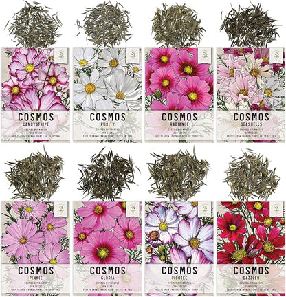 Seed Needs Cosmos Seeds Variety Pack of 8 Flowers for a Butterfly Garden