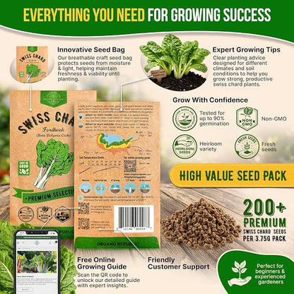 Organo Republic Swiss Chard Fordhook Seeds Pack 3.75 g - Over 200 Non-GMO Heirloom Swiss Chard Seeds for Planting Greens in Individual Seed Packet, Greens Seeds for Planting Indoor & Outdoor Garden