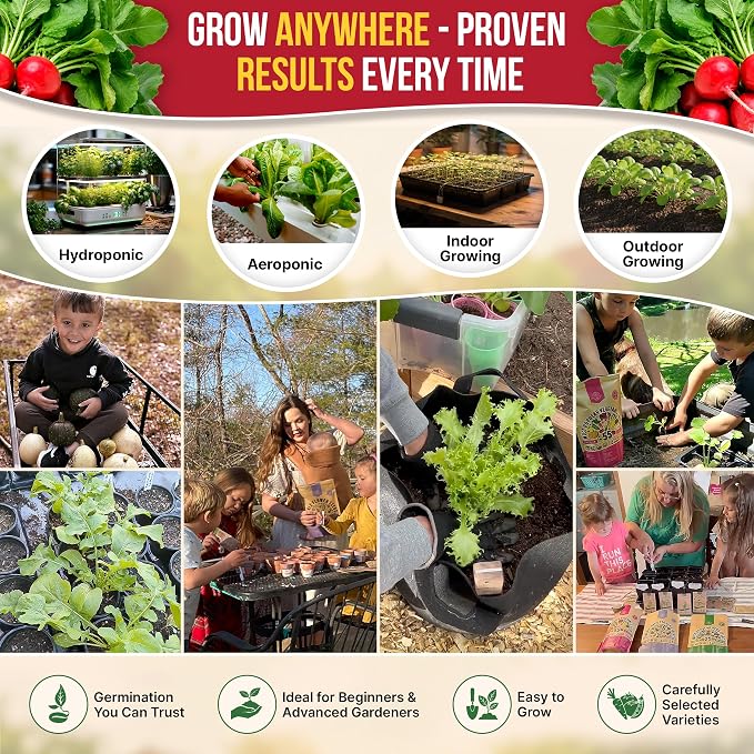 Cherry Belle Radish Seeds Pack 10 G - Over 1200 Non-GMO Heirloom Radish Seeds for Planting Vegetables in Individual Seed Packet, Vegetable Seeds for Planting Home Garden Indoor & Outdoor Gardening