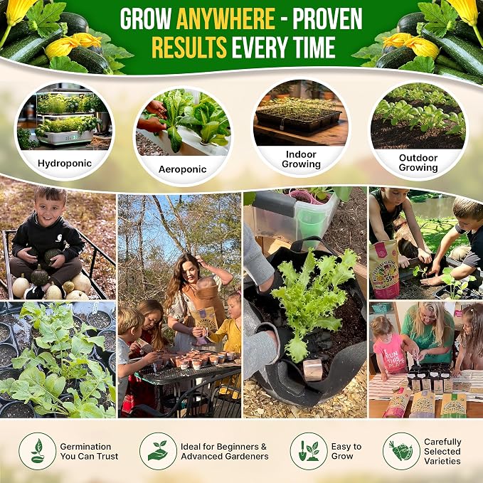 Organo Republic Dark Green Zucchini Seeds Pack 15 G - Over 150 Non-GMO Heirloom Zucchini Seeds for Planting Vegetable in Individual Seed Packet, Vegetable Seeds for Planting Indoor & Outdoor Gardening