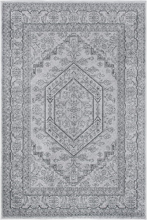 SAFAVIEH Adirondack Collection Accent Rug - 3' x 5', Light Grey & Dark Grey, Oriental Medallion Design, Non-Shedding & Easy Care, Ideal for High Traffic Areas in Foyer, Living Room, Bedroom (ADR108C)