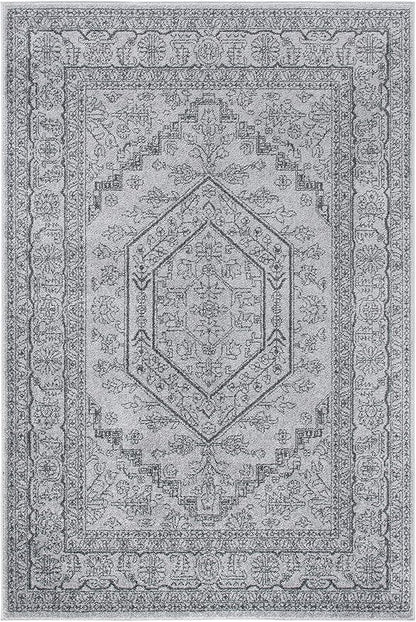 SAFAVIEH Adirondack Collection Accent Rug - 3' x 5', Light Grey & Dark Grey, Oriental Medallion Design, Non-Shedding & Easy Care, Ideal for High Traffic Areas in Foyer, Living Room, Bedroom (ADR108C)