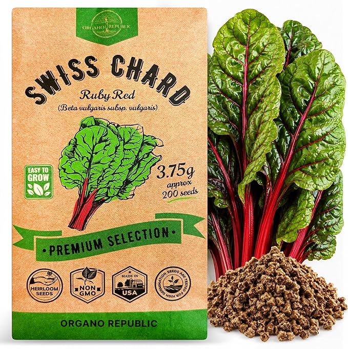 Organo Republic Swiss Chard Ruby Red Seeds Pack 3.75G - Over 200 Non-GMO Heirloom Swiss Chard Seeds for Planting Greens in Individual Seed Packet, Greens Seed for Planting Home Garden Indoor & Outdoor