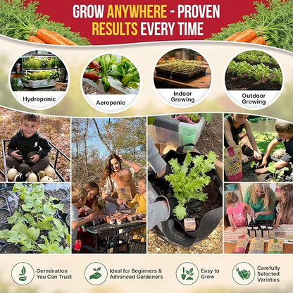 Organo Republic Imperator 58 Carrot Seeds Pack 2G - Over 1800 of Non-GMO Heirloom Carrot Seeds for Planting Vegetables in Individual Seed Packet, Vegetable Seeds for Planting Indoor & Outdoor Garden