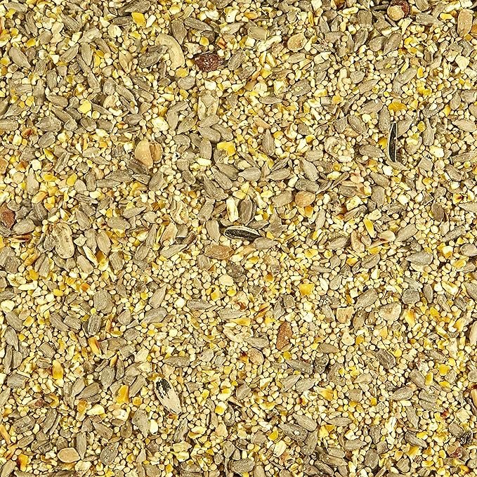 Kaytee Wild Bird (No Mess or Waste Free) Food Seed Blend for Blue Jays, Woodpeckers, Juncos, Cardinals, Grosbeaks, Sparrows, and Finches, 10 Pound, (Packaging May Vary) (Pack of 2)