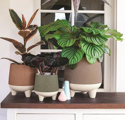 The HC Companies 10 Inch Orion Self Watering Planter - Lightweight Indoor Plastic Plant Pot for Herbs and Flowers, Greige