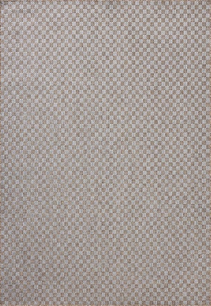 Loloi Amber Lewis Topanga Collection TOP-02 Natural/Silver 5'-3" x 7'-6" Indoor/Outdoor Area Rug