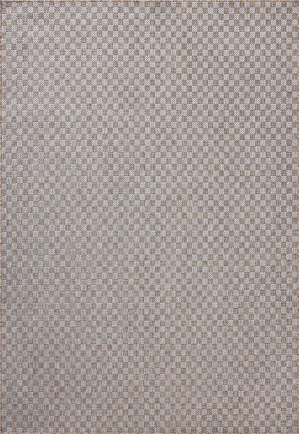 Loloi Amber Lewis Topanga Collection TOP-02 Natural/Silver 3'-11" x 5'-11" Indoor/Outdoor Accent Rug