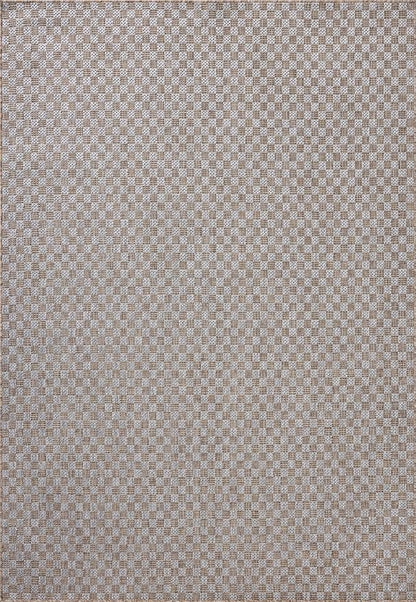 Loloi Amber Lewis Topanga Collection TOP-02 Natural/Silver 3'-11" x 5'-11" Indoor/Outdoor Accent Rug