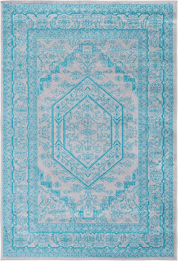 SAFAVIEH Adirondack Collection Accent Rug - 4' x 6', Light Grey & Teal, Oriental Medallion Design, Non-Shedding & Easy Care, Ideal for High Traffic Areas in Entryway, Living Room, Bedroom (ADR108L)