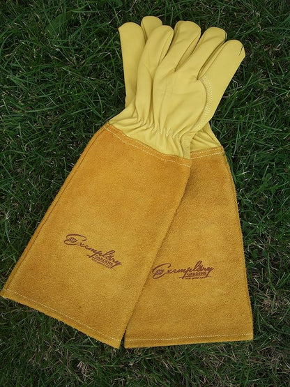 Rose Pruning Gloves for Men and Women - Thorn Proof Goatskin Leather Gardening Gloves with Gauntlet (Medium, Yellow)