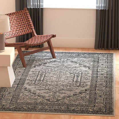 SAFAVIEH Adirondack Collection Accent Rug - 3' x 5', Silver & Black, Oriental Medallion Design, Non-Shedding & Easy Care, Ideal for High Traffic Areas in Entryway, Living Room, Bedroom (ADR108A)