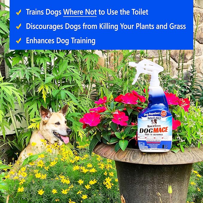 Nature’s MACE Dog Mace, Dog Repellent for Yard, Potty Training Tool, Indoor & Outdoor, Marking and Digging Spray, Pee Deterrent, Safe Around Kids, Pets, Plants, 40oz Concentrate, Treats 15,000 Sq Ft