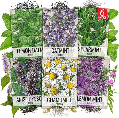 Seed Needs Medicinal Herb Seeds Variety Pack of 6 Tea & Infusion Collection